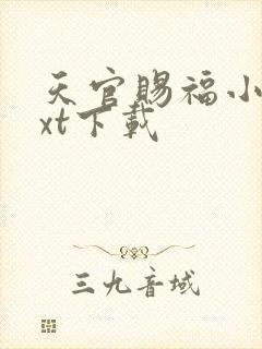 天官赐福小说txt下载