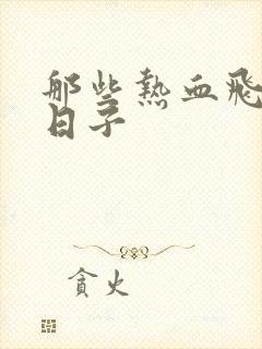 那些热血飞扬的日子封面