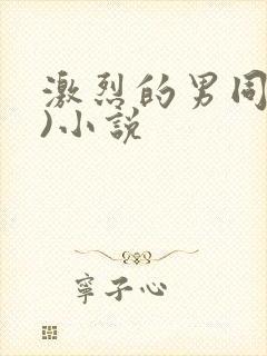 激烈的男同(h)小说