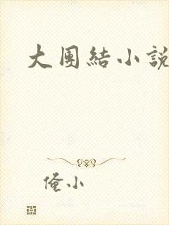 大团结小说阅读