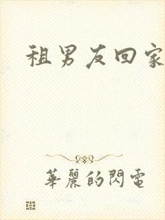 租男友回家过年封面