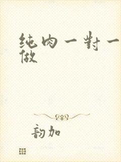 纯肉一对一到处做