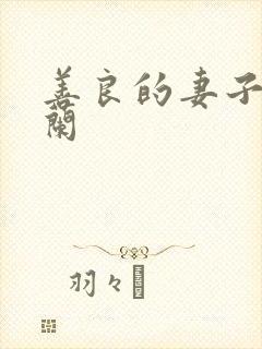 善良的妻子王晓兰封面