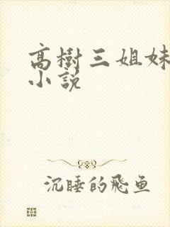 高树三姐妹有声小说封面