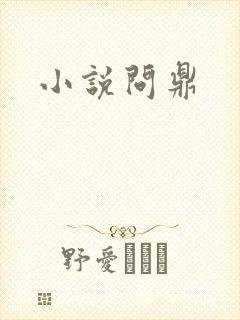 小说问鼎封面