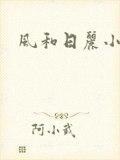 风和日丽小说