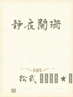 静夜阑珊