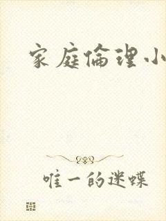 家庭伦理小说封面