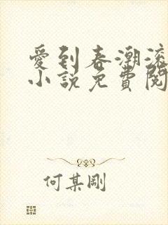 爱到春潮滚滚来小说免费阅读