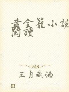 黄金笼小说免费阅读