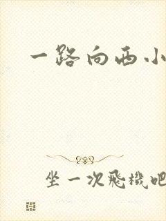 一路向西小说