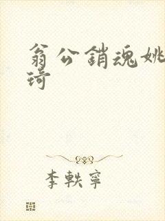 翁公销魂姚瑶琦琦封面