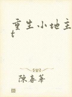 重生小地主txt