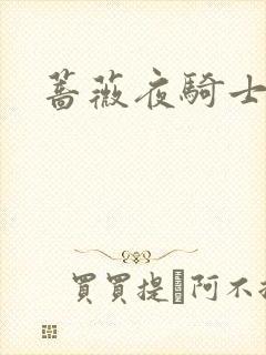 蔷薇夜骑士封面