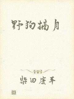 野狗摘月