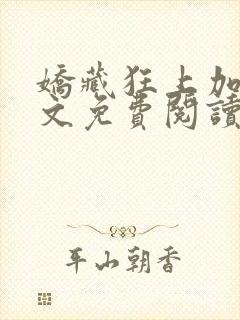 娇藏狂上加狂全文免费阅读笔趣阁封面