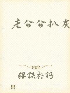 老公公扒灰小说