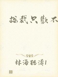 总裁只欢不爱封面