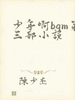 少年啊bgm第三部小说