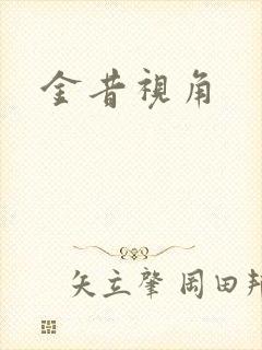 金昔视角封面