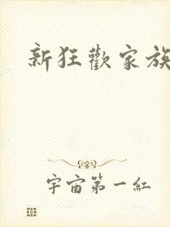 新狂欢家族小说封面