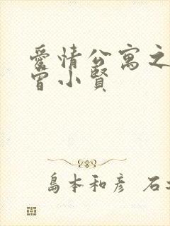 爱情公寓之极品曾小贤