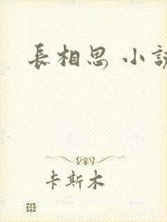 长相思 小说