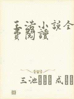 王浩小说全文免费阅读封面