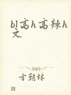 bl高h高辣h文