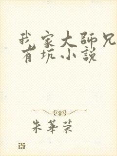 我家大师兄脑子有坑小说封面