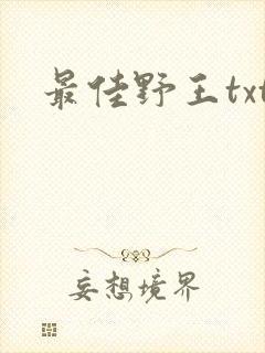 最佳野王txt封面