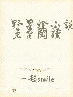 野星灯小说全文免费阅读