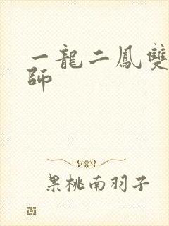 一龙二凤双飞老师