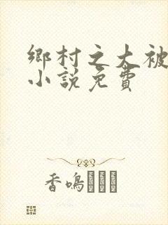 乡村之大被同眠小说免费封面