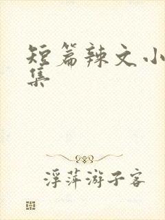 短篇辣文小说合集