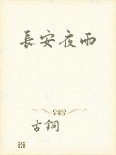 长安夜雨