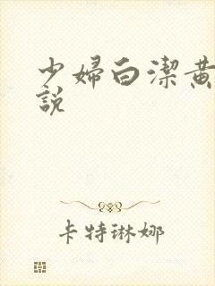 少妇白洁黄色小说