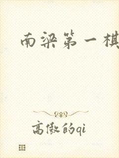 南梁第一棋手封面