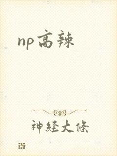 np高辣