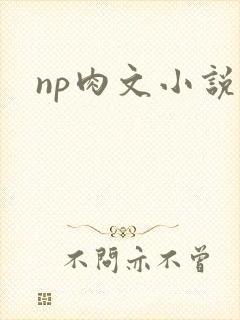 np肉文小说