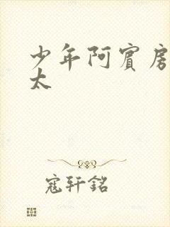 少年阿宾房东太太