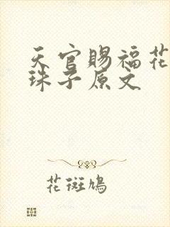 天官赐福花怜塞珠子原文