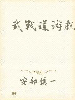 武战道游戏