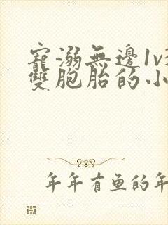 宠溺无边1v3双胞胎的小说