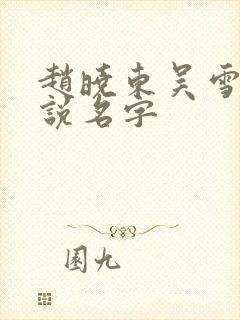 赵晓东吴雪晴小说名字