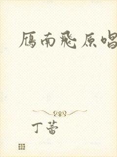 雁南飞原唱封面