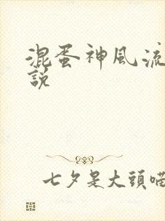 混蛋神风流史小说封面