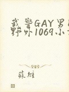 武警GAY男同野外1069小说封面