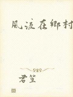 风流在乡村
