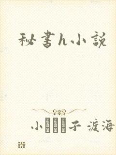秘书h小说